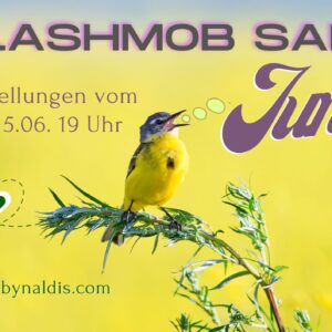 Flashmob Sale Juni